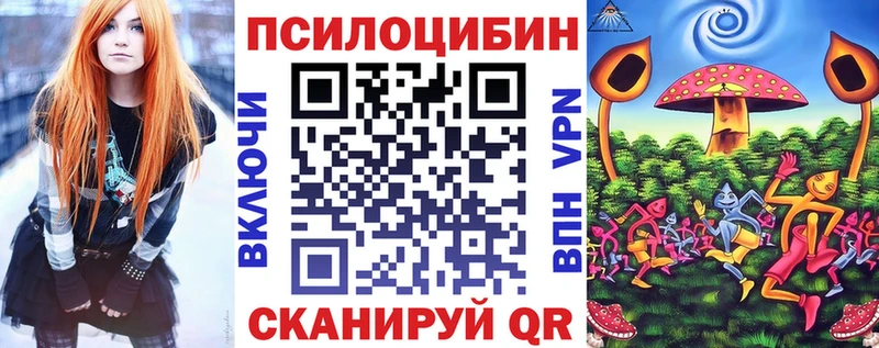 как найти закладки  Люберцы  Псилоцибиновые грибы MAGIC MUSHROOMS 