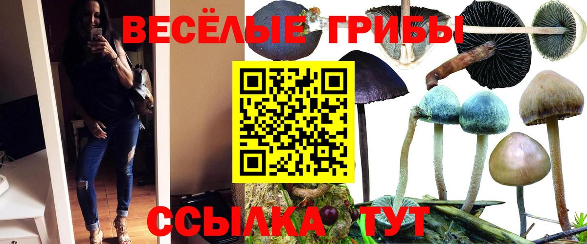 Люберцы  Галлюциногенные грибы прущие грибы  Вход с VPN 